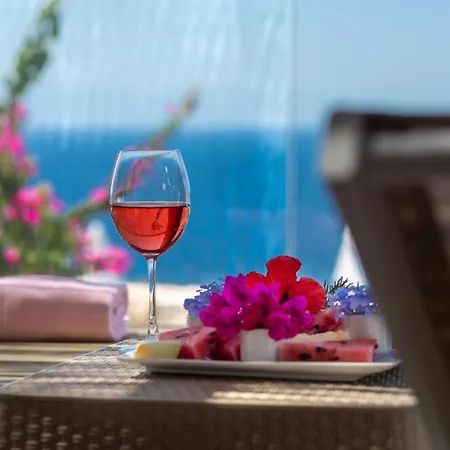 Appart hôtel Vega Aparts 3*