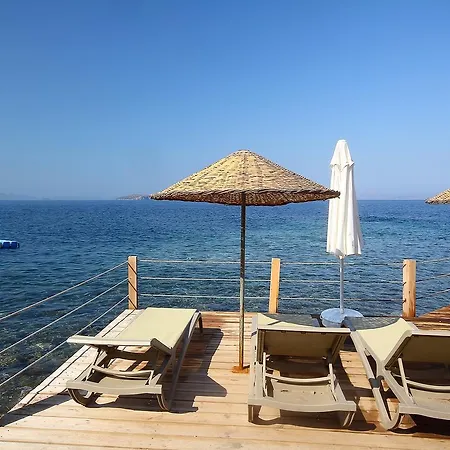 Vega Aparts Appart hôtel