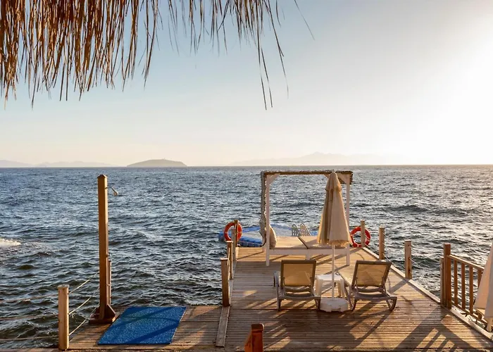 Aparthotel Vega Aparts 3*