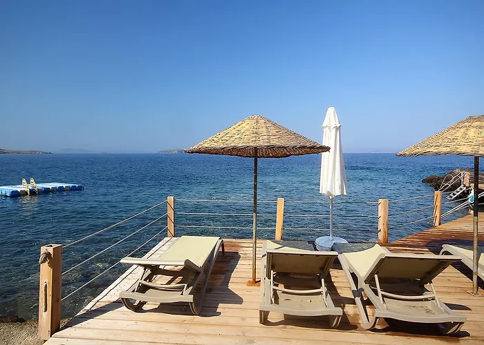 Vega Aparts Aparthotel