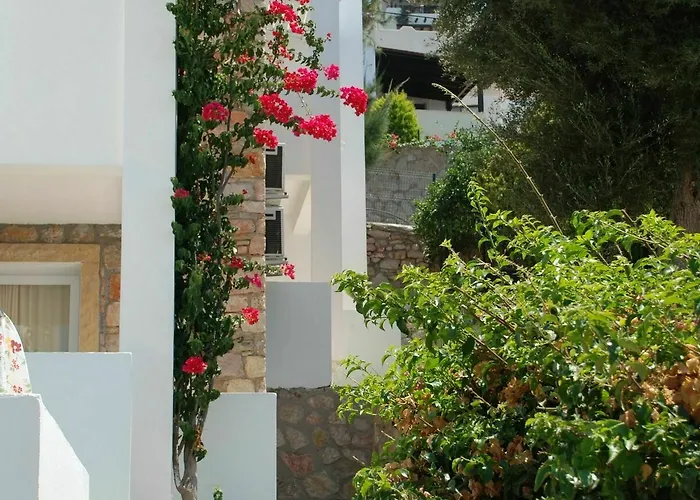 Vega Aparts 3* Gümüşlük