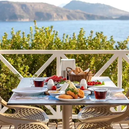 Vega Aparts ギュムシュルク