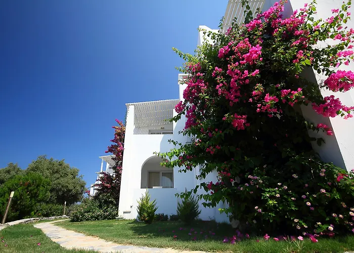 Vega Aparts Gumusluk